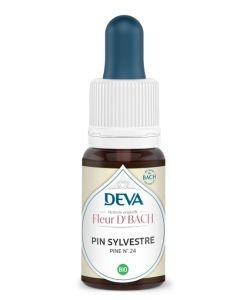 Pin Sylvestre (Pine - N°24) BIO, 15 ml